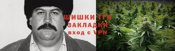 стафф Осинники