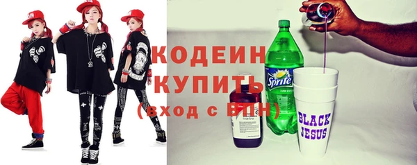 бошки Няндома