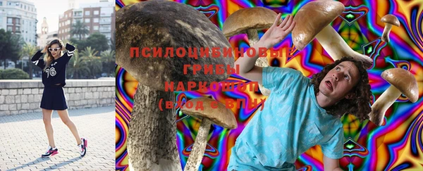 стафф Осинники