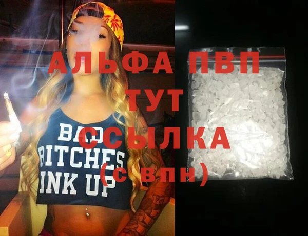молекула духа Осташков