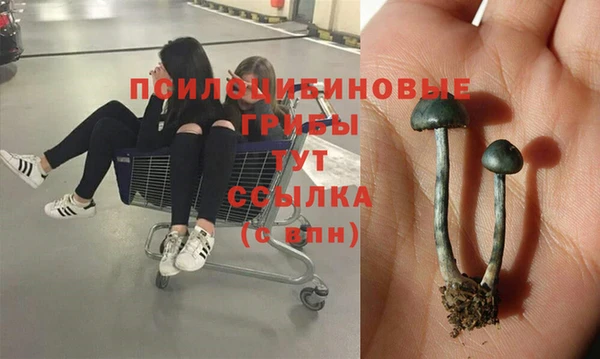 MDMA Аркадак