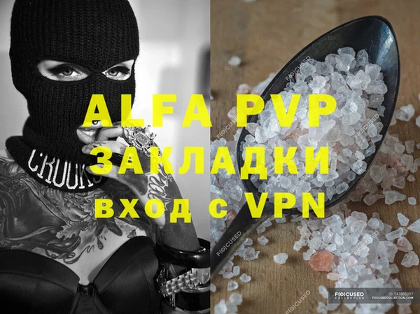 молекула духа Осташков