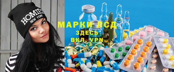 сатива Армянск