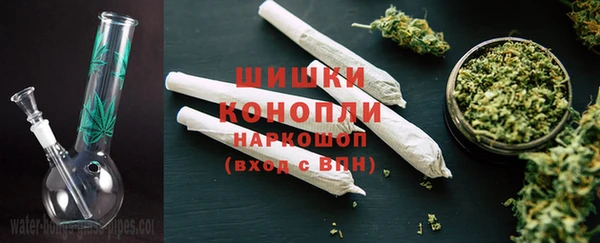 молекула духа Осташков