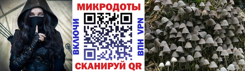 Галлюциногенные грибы Magic Shrooms это формула Багратионовск